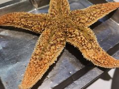 -众想海鲜·烧烤·海肠捞饭·渔家菜(孙家疃店)