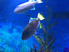 -多彩贵州城极地海洋世界