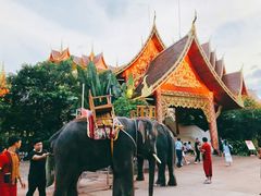 -西双版纳勐泐文化旅游区