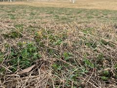 -汉长安城未央宫国家考古遗址公园