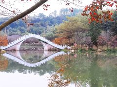 -田野绿世界
