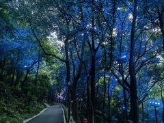 -龟山风景区-龟山电视塔