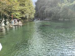 -石台牯牛降景区