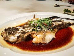 -荣兴酒家(徐家汇店)