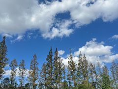 -前小桔亲子创意农场·草莓采摘·露营烧烤