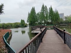 -黄兴公园
