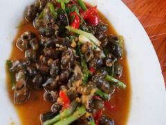 -头塘庄园(农家乐)