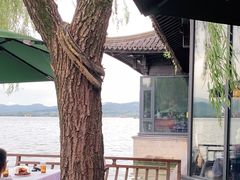 -柳莺湖上·湖景餐厅·江南菜(西湖店)
