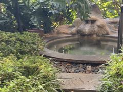 -昆明华邑酒店
