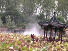 -合肥滨湖国家森林公园