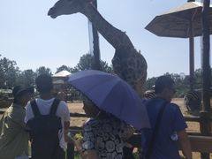 -大连森林动物园