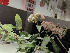 -春树下·树屋花房西餐厅(罍街AS1980店)