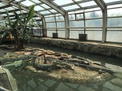 -石家庄市动物园