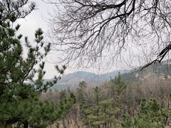 -沂蒙山旅游区龟蒙景区
