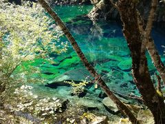 -叠溪松坪沟景区