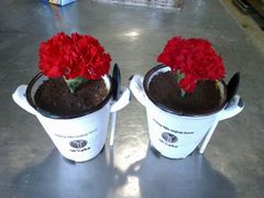 -托斯卡纳烘焙意大利餐厅(五天地店)