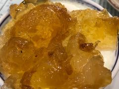 桃胶双皮奶-仁信老铺(华盖路店)