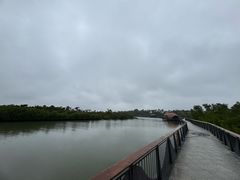 -东寨港红树林旅游区