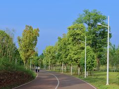 -白鹭湾湿地公园