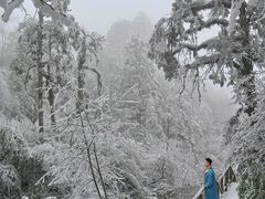 -龙苍沟森林公园