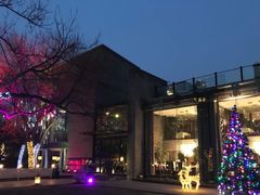 -唐廊烤鸭店(工体店)