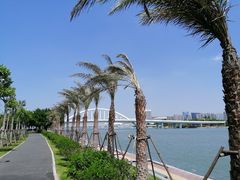 -五缘湾湿地公园