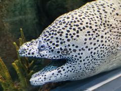 -上海海洋水族馆