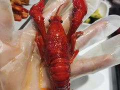 -靓虾二哥长沙地标小龙虾(五一广场店)
