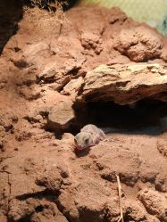 -酷嗒动物文化乐园(cutezoo西溪乐天城店)