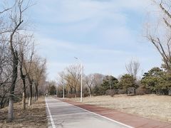 -绿堤公园