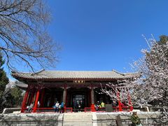 -颐和园