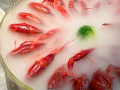 -红盔甲·小龙虾(长寿路店)