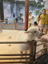 -Zoolung Zoolung动物主题公园(海信广场店)