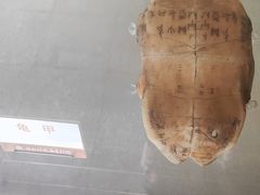 -洛阳周公庙博物馆