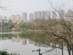 -重庆彩云湖湿地公园