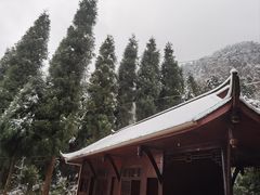 -紫颐香薰山谷景区