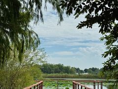 -贡湖湾湿地公园