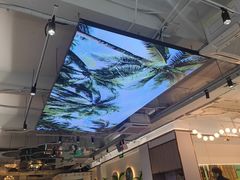 -探窝·竹笙椰子鸡(杨箕店)