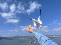 -海埂大坝