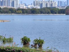 -海珠湖公园