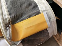 -宠福鑫康馨动物医院·骨科·眼科
