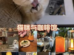 -咖法森林·咖啡  酒吧(天河店)