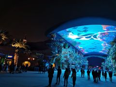 -帝企鹅自助餐厅•儿童岛•真企鹅(长隆企鹅酒店)