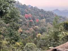 -青城山