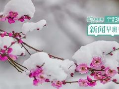 -蜀霞记麻辣串(总店)