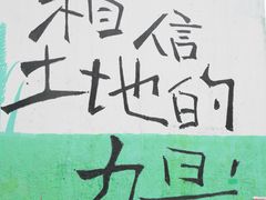 -黄桷坪涂鸦艺术街