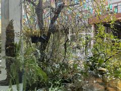 -春树下·树屋花房西餐厅(罍街AS1980店)