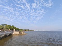 -深圳湾公园(南山区)