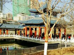 -雁滩公园