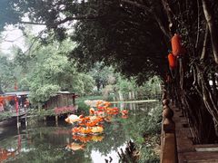 -荔湾湖公园